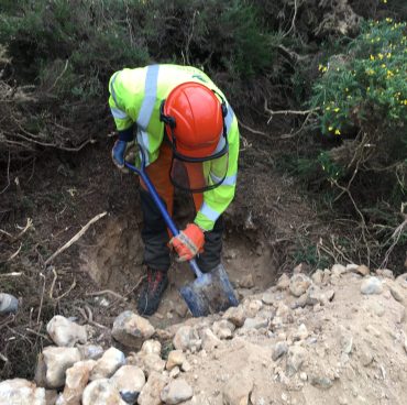 Adder mitigation on the trunk road network