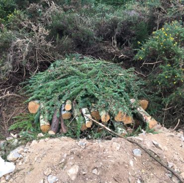 Adder mitigation on the trunk road network