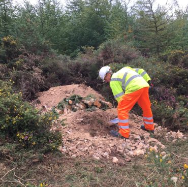 Adder mitigation on the trunk road network