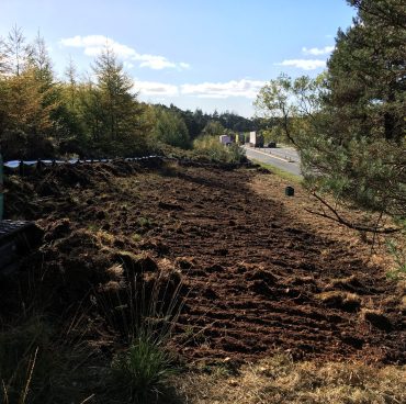 Adder mitigation on the trunk road network